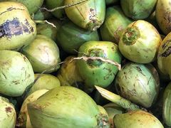 -墨脱石锅椰子鸡•香草鸭•东山羊(大东海店)