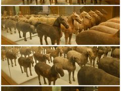 -汉景帝阳陵博物院