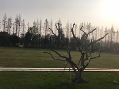 -前小桔亲子创意农场·草莓采摘·露营烧烤