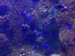 -多彩贵州城极地海洋世界