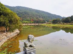 -九鲤湖风景区