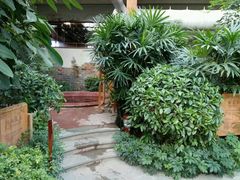 -南宫温泉水世界