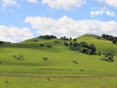 -御道口草原森林风景区