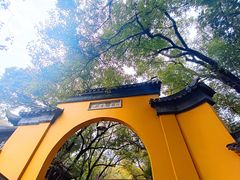 -西园寺素食(西园弄戒幢律寺店)