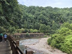 -青城山