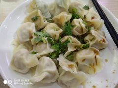 酸菜猪肉水饺-霍嘟嘟手工水饺(黄山花园店)