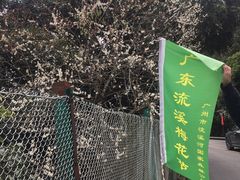-广州市流溪河国家森林公园