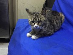 -延成苑韩式烤肉店(长春道店)