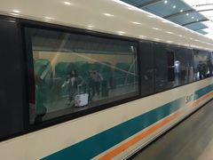 -龙阳路磁悬浮列车总站-停车场