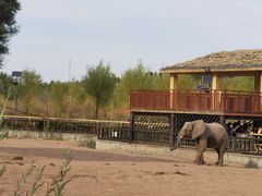 -鄂尔多斯野生动物园