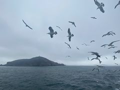 -海驴岛(荣成市)