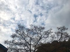 -上海市保健医疗中心(华东疗养院)