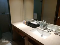 -成都明宇丽雅饭店