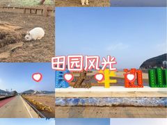 -东海半边山旅游度假区