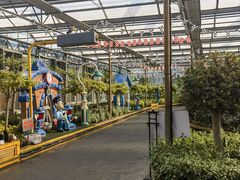 -南宫五洲植物乐园