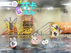 -蓝旗亲子游泳(范湖万达广场店)