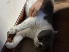 -暗楼·剧本杀·桌游