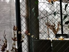 -盐帮食坊•小河帮川菜(四川师大店)