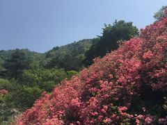 -木兰云雾山