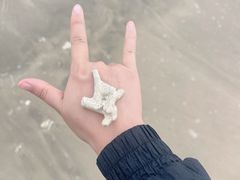 -东郊椰林