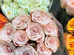 -双季花艺园艺市场(浦东店)