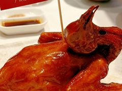 -侨美食家·41年地道粤菜(珠江新城店)