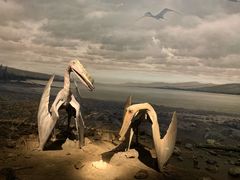 -贝林大翅鲸简餐厅(国家海洋博物馆店)