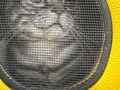 -美联众合动物医院·24h转诊中心