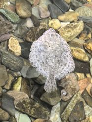 -钓虾工场·钓虾·赶海(回龙观店)