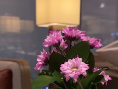 -北京柏悦酒店·锦庭餐厅Dining Room