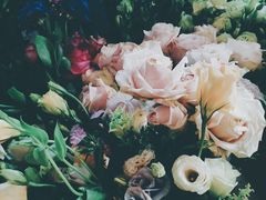 -Jo's Garden