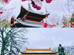 -南京国际青年文化中心
