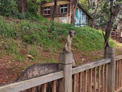 -昆明动物园