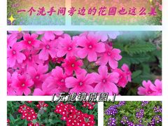 -海珠湖公园
