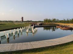 -春花秋色城市公园