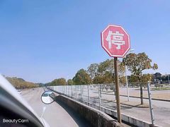 -胜华驾校·小猫学车(银都店)