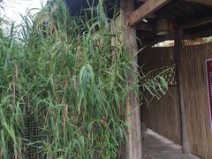 -驿舍·民國老营房院子私房菜(科学会堂店)