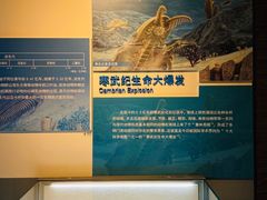 -安徽省地质博物馆