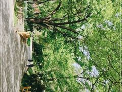 -南京老山国家森林公园