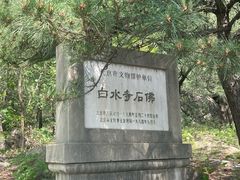 -白水寺森林公园