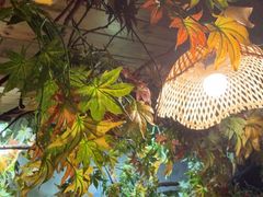 -萬家灯火·私房湘菜·22年老手艺(南岭大道店)