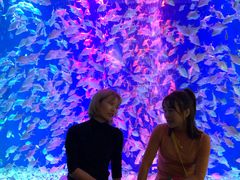 -成都浩海立方海洋公园