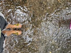 -桤木河湿地公园