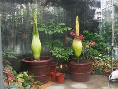 -北京植物园-展览温室