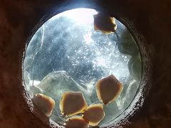 -珠海长隆海洋王国