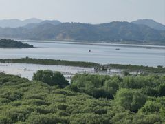-盐洲岛