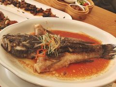 清蒸竹笋壳鱼-青梅酒肆PLUS(长白仙岛北路店)