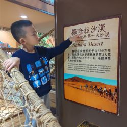 -卡通尼·Safari非洲探索乐园·生日会(金桥国际商业广场店)