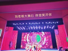 -刘老根大舞台-长春旗舰店