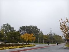 -绿堤公园